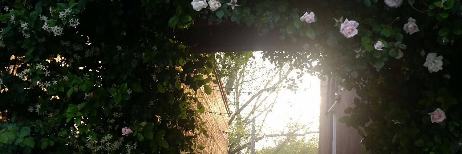 marvitta1's profile banner image