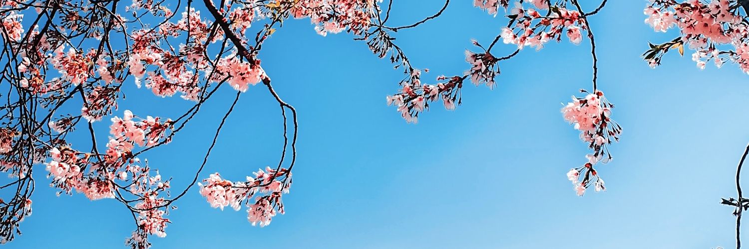 ⓥ banner