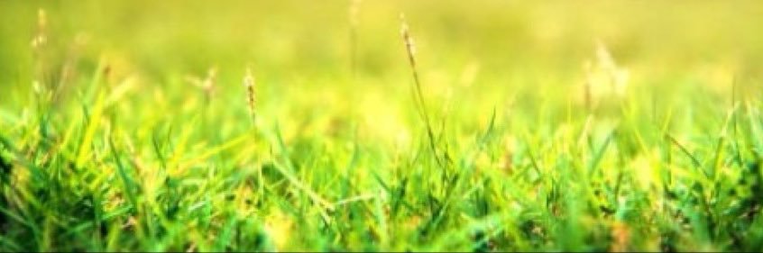 markbanks6's profile banner image