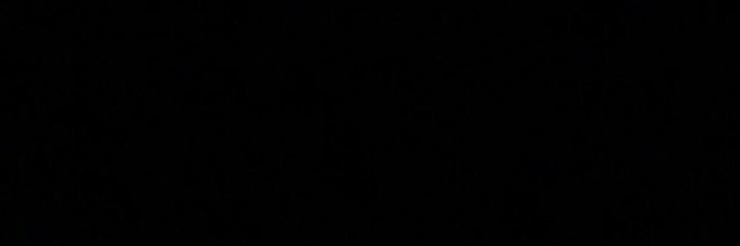 plasticolzanski's profile banner image