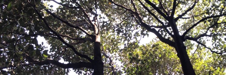 adil dan makmur✨ banner