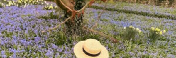 hafida____'s profile banner image