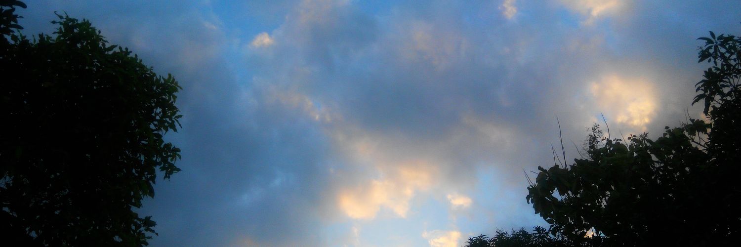 fandhi151's profile banner image