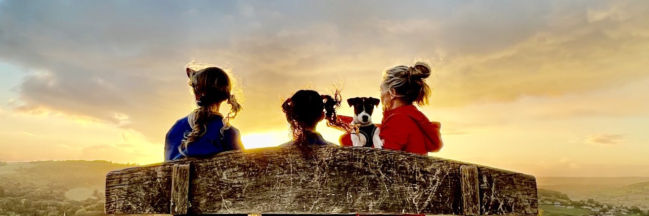 Andy Skinstad banner