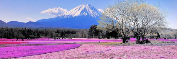 ValidatorVibes Profile Banner