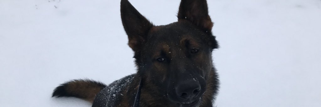 heatherf1099's profile banner image