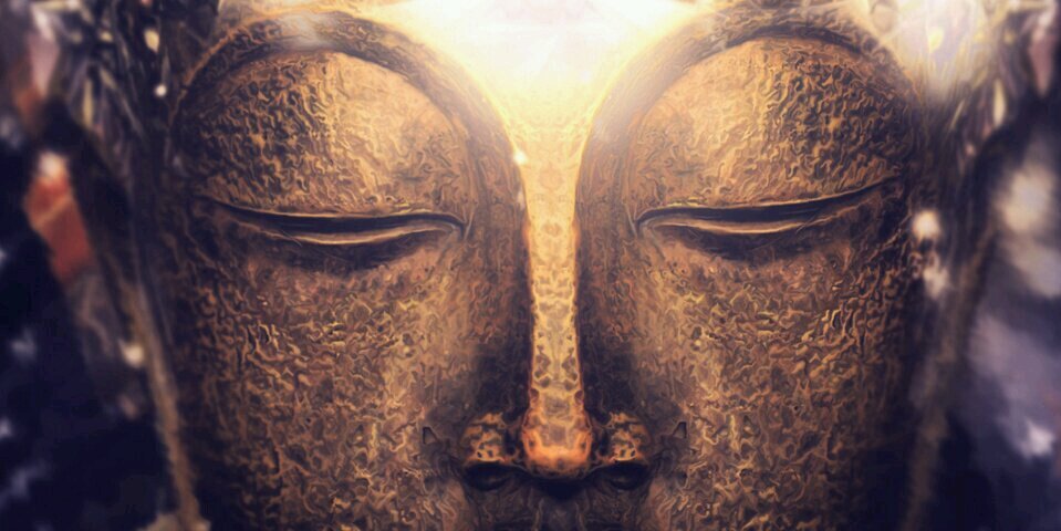 Saša Blagojević banner