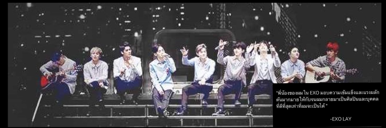 โพนี่จาง (ft. westie 🎀) banner
