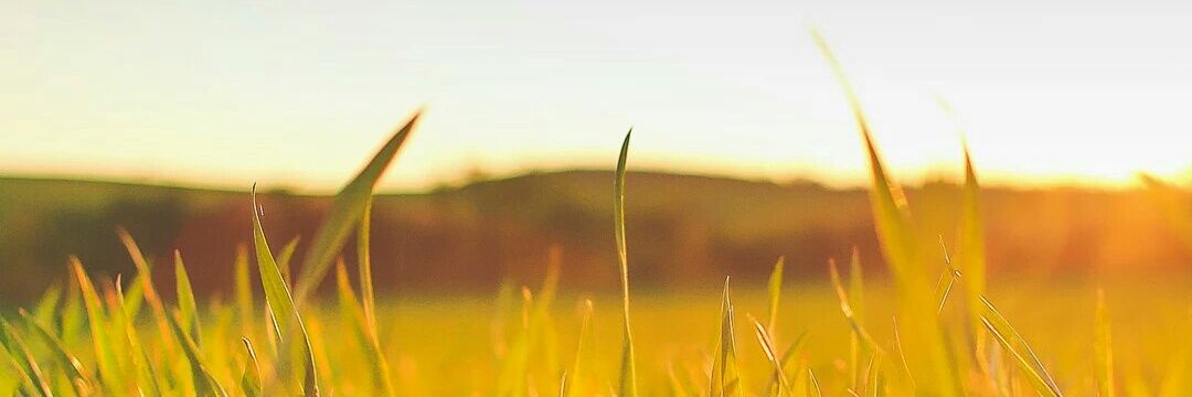 _AdrianBrother_'s profile banner image