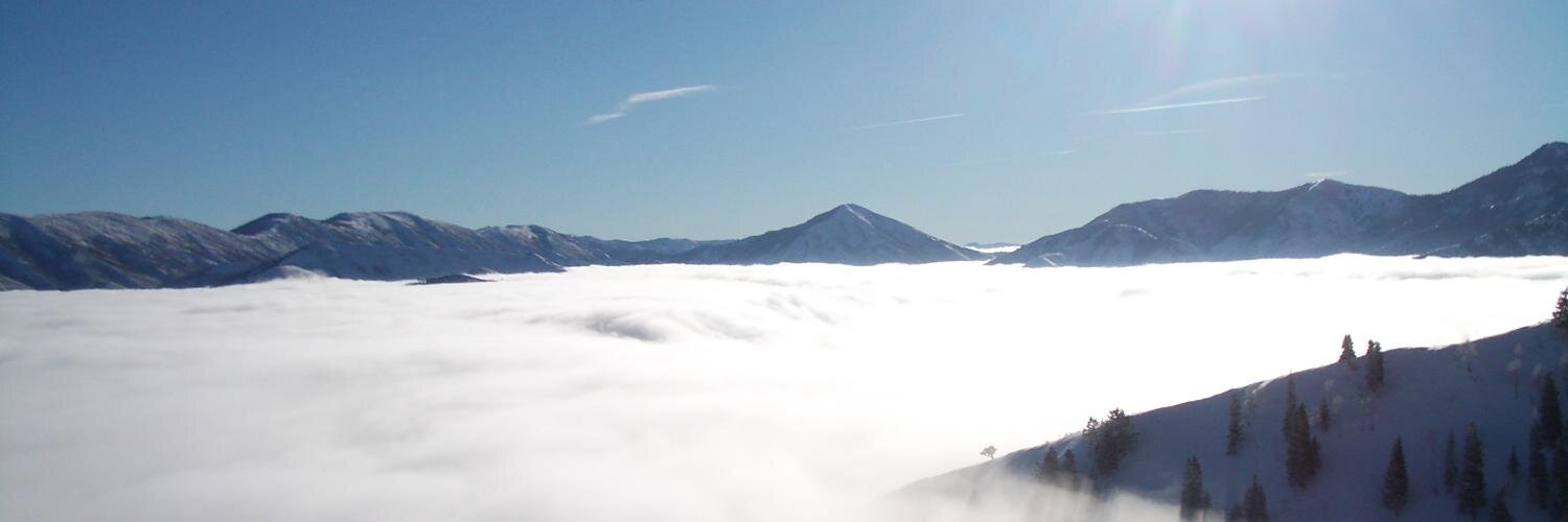 Specialty Coaching banner