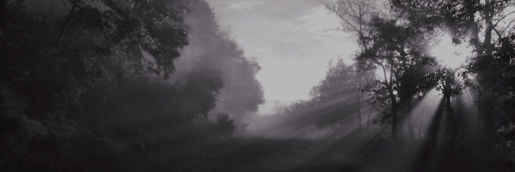 pablitoastrain's profile banner image