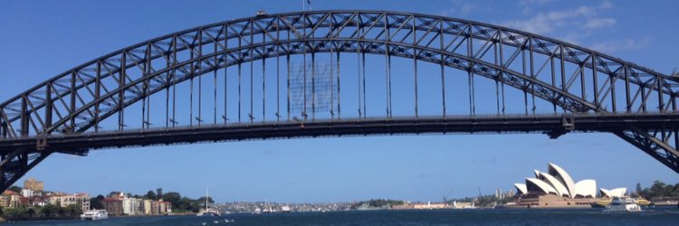 Anita Murphy banner