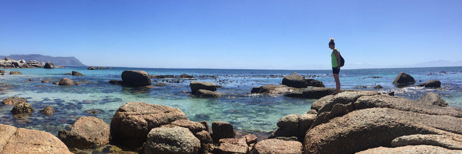 Romy Chevallier banner