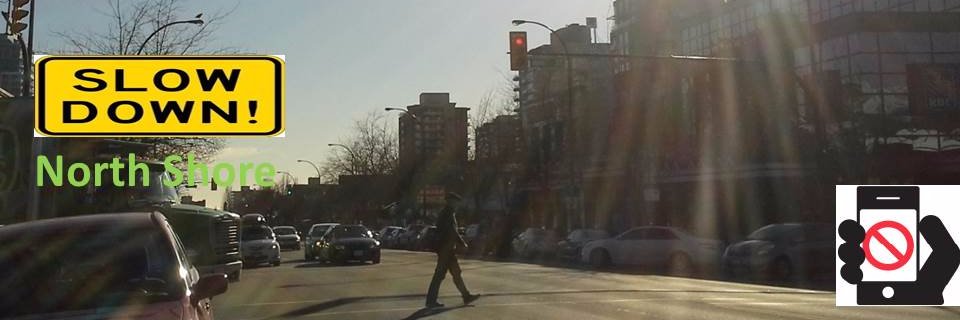 NS Safety Council banner