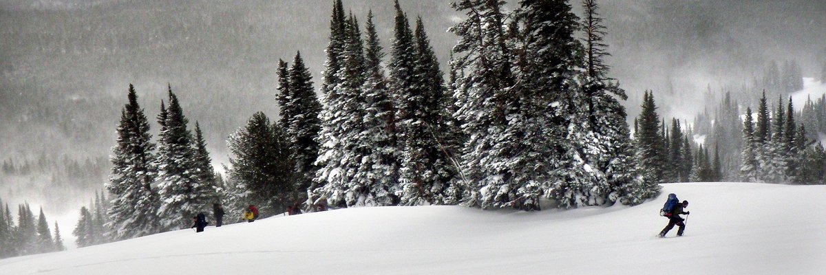 jenniferjerrett's profile banner image