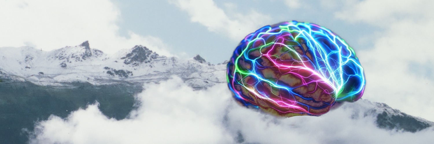 brainconnects banner
