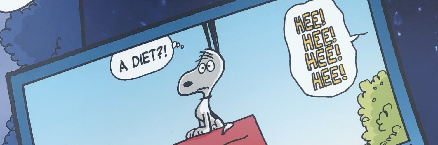 croco0802's profile banner image