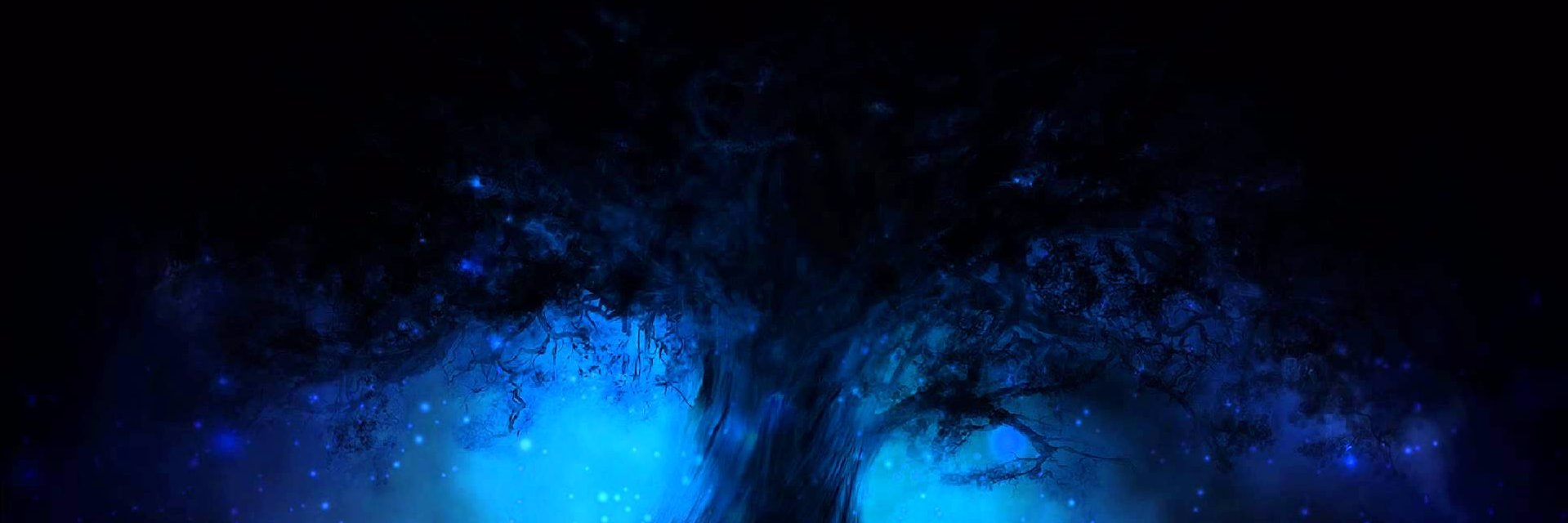 Weifunnn's profile banner image