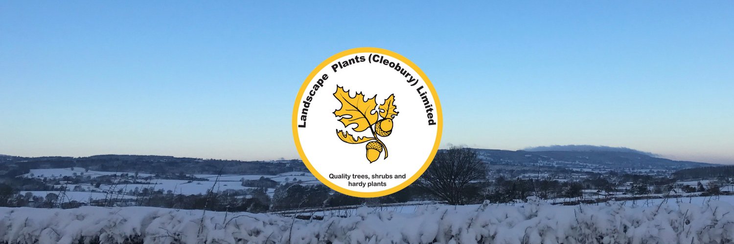 LPLofCleobury's profile banner image