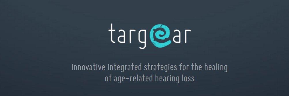 Targear's profile banner image