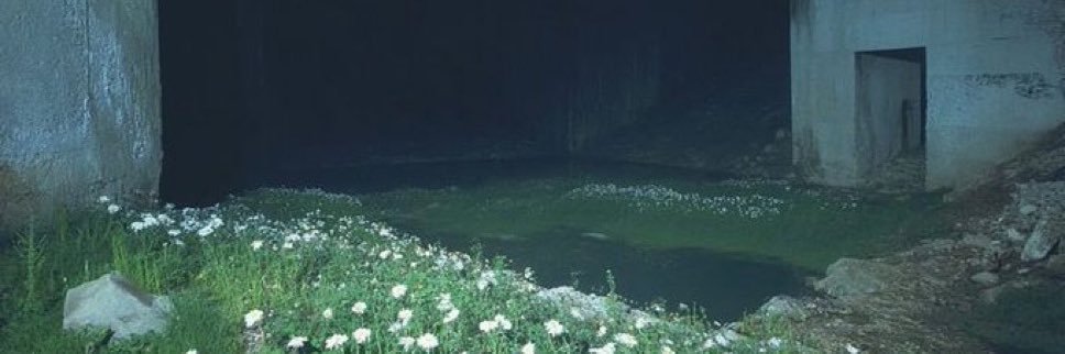 Zectumsempra's profile banner image