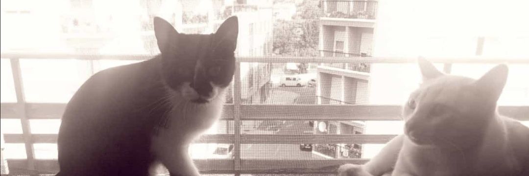 Nythves's profile banner image