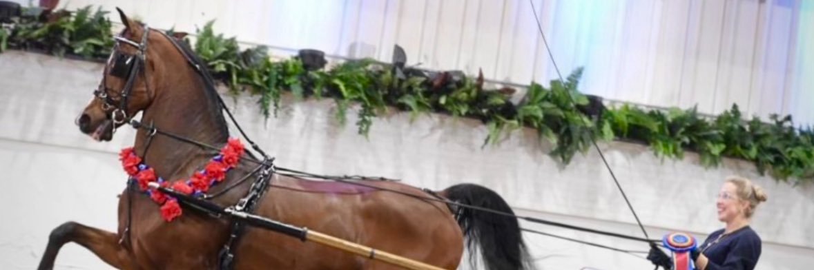 LadyLayla83's profile banner image