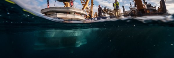 Seaboost Profile Banner