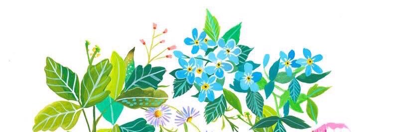 kathywoy's profile banner image