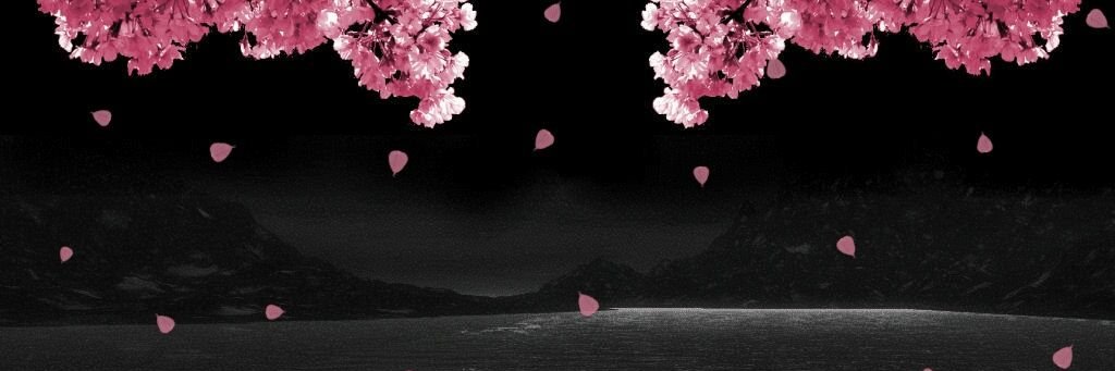 HasanMdHanif's profile banner image