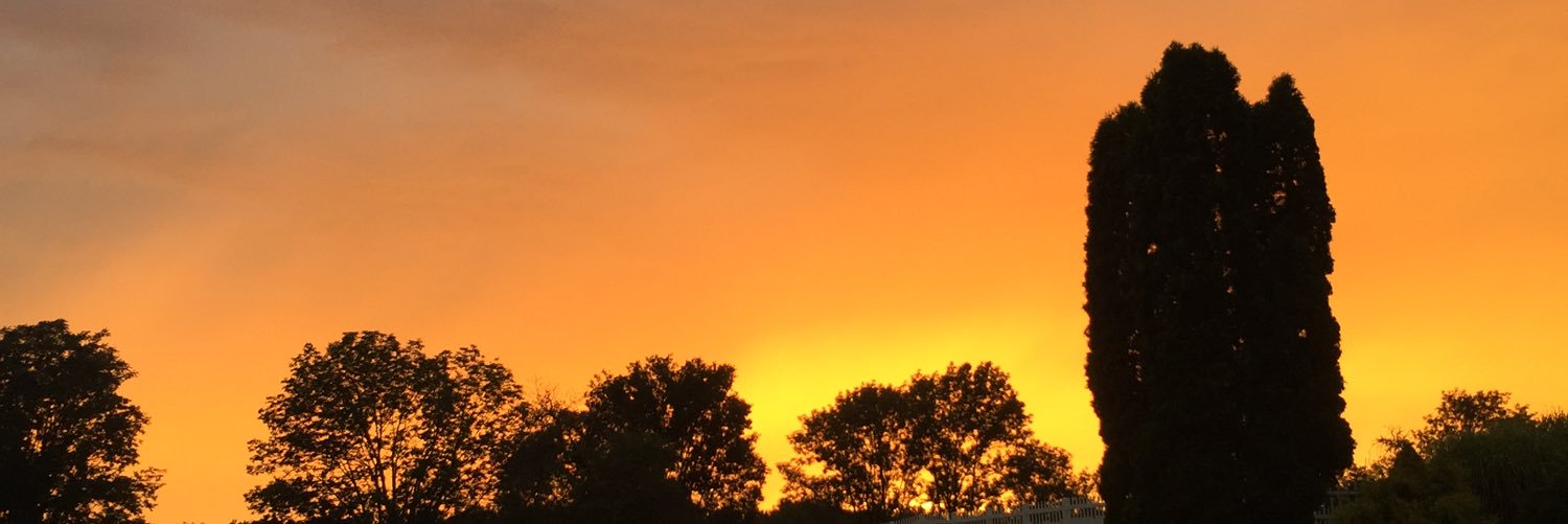 BrookeFreund's profile banner image