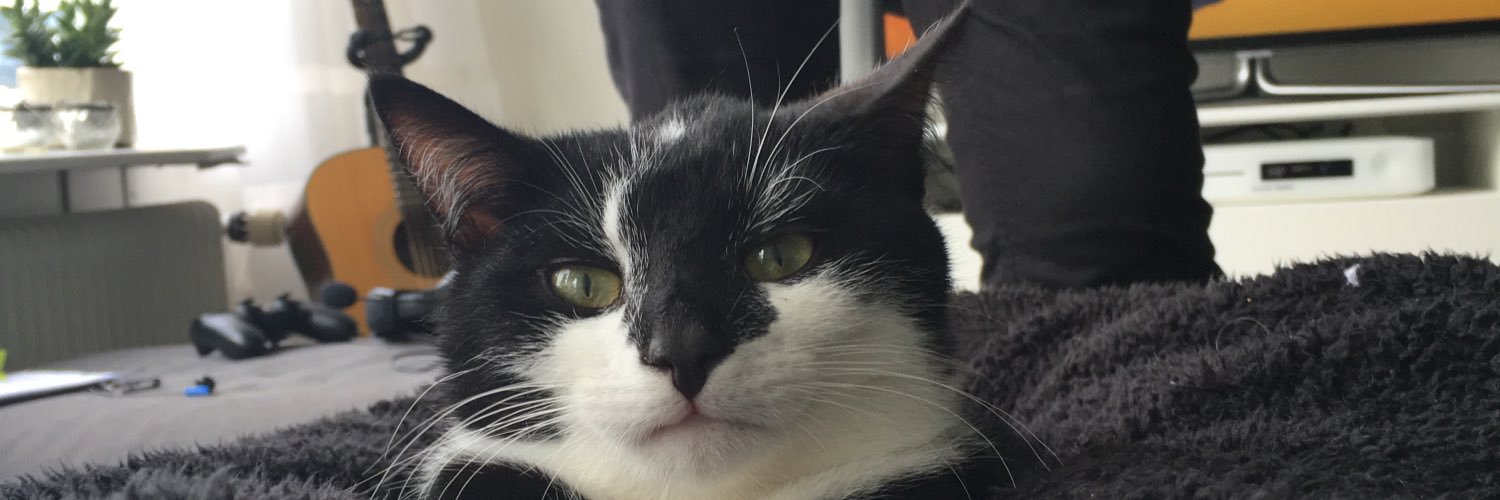evavlugt's profile banner image