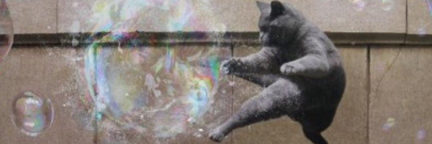 Siôn Whellens banner