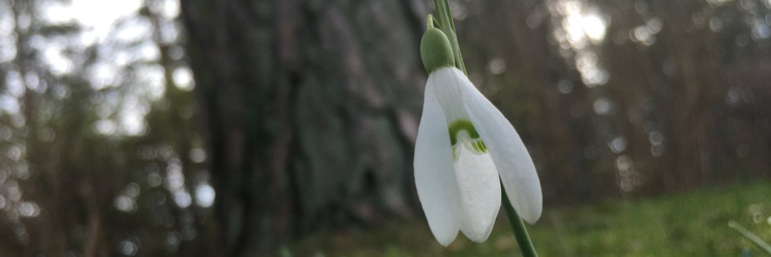 Marcus Östman banner