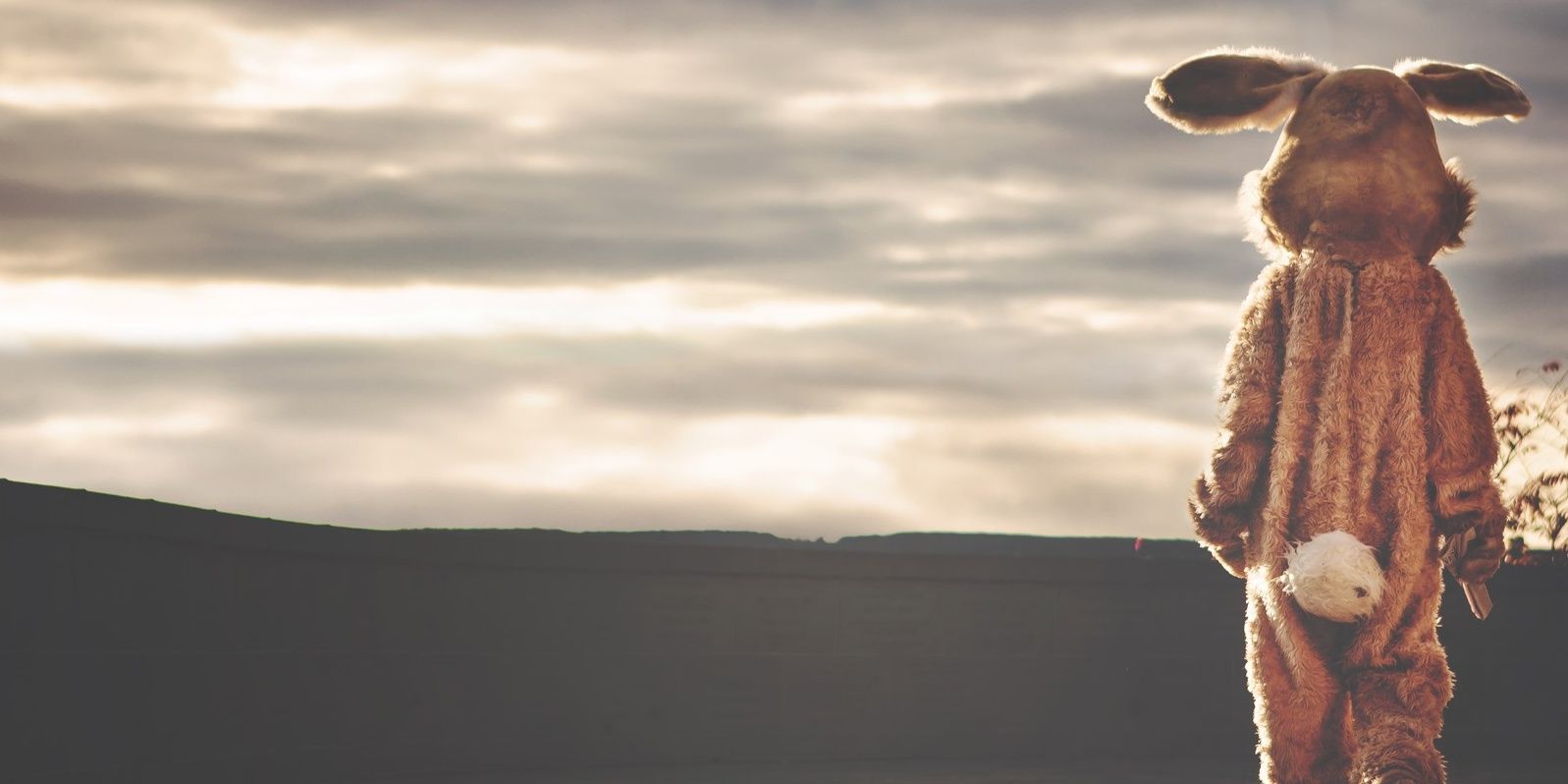 pkcui_'s profile banner image