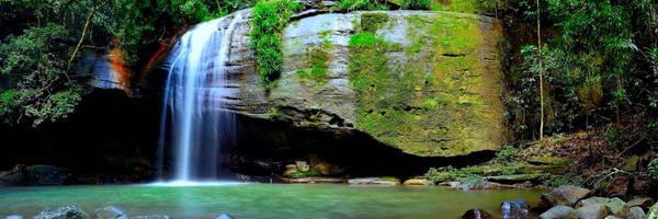 ORGANICLivity Profile Banner