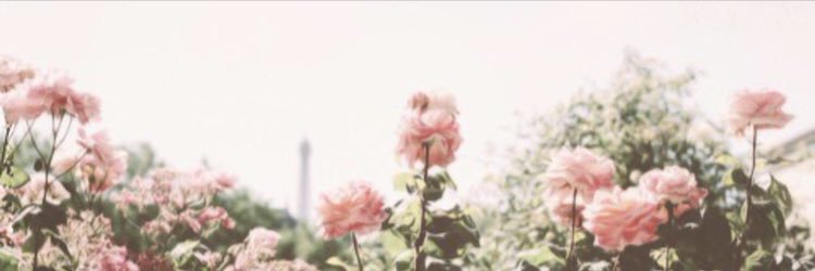mon_roeeeee's profile banner image