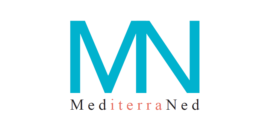 MediterraNed's profile banner image