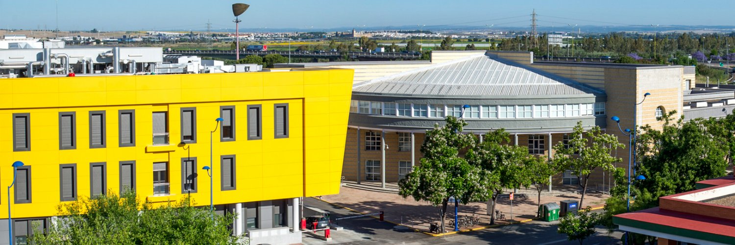 Instituto de Ciencia de Materiales de Sevilla-ICMS banner