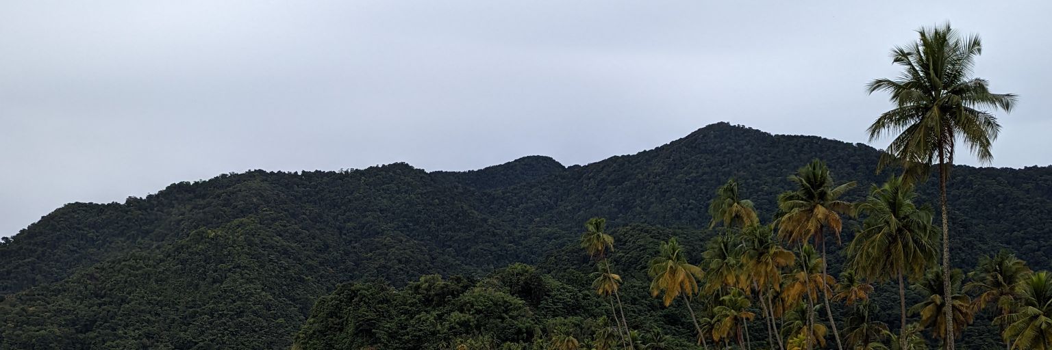 SaubSLP's profile banner image