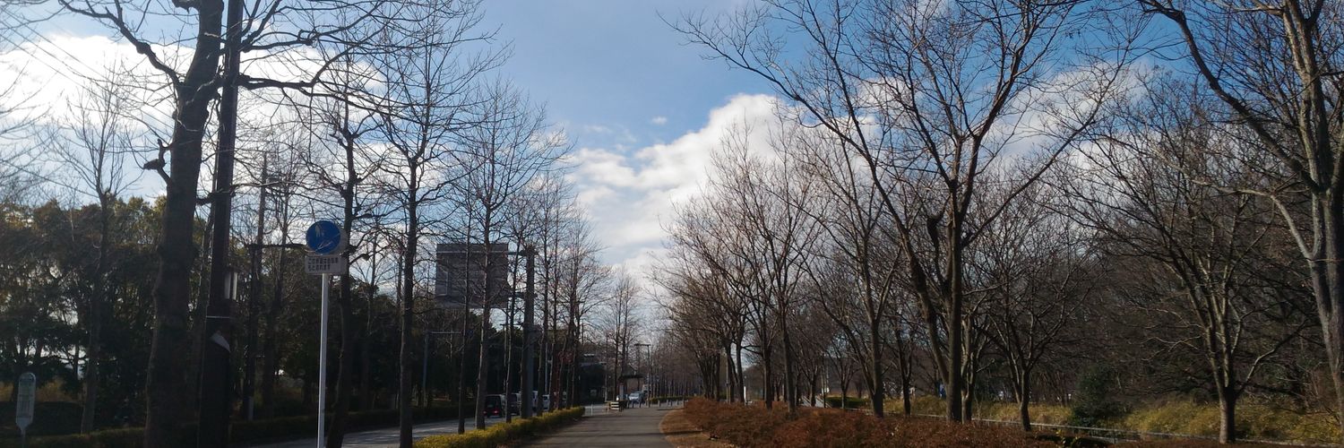 lin214's profile banner image