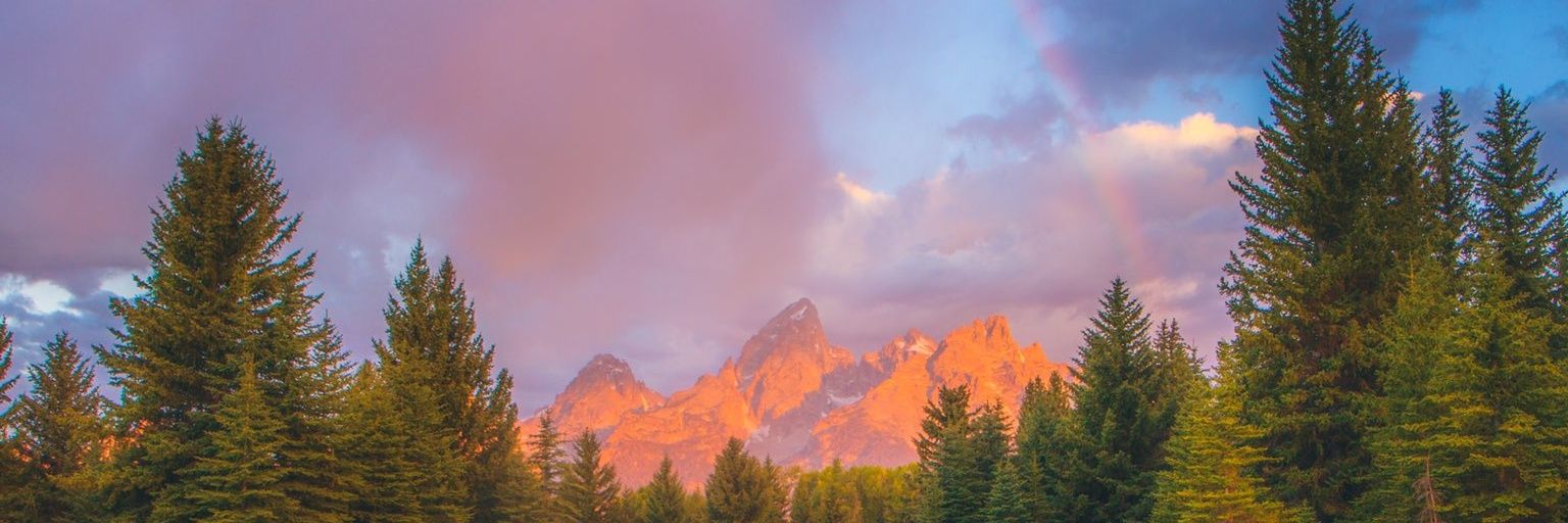 BE_F_p's profile banner image