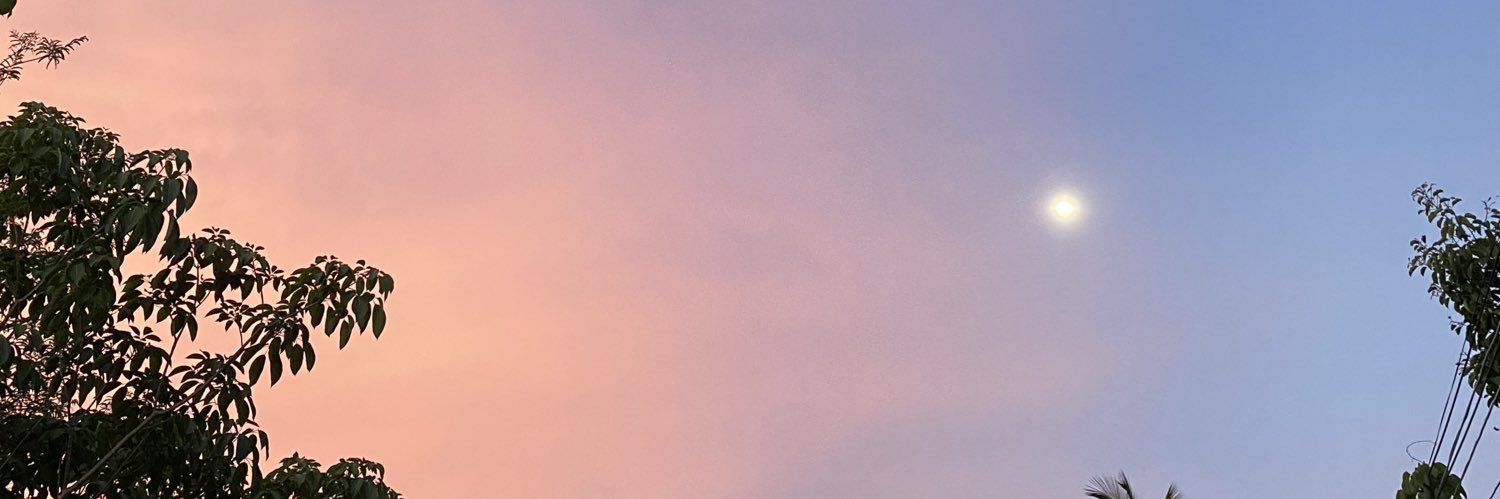 plaisuplaor's profile banner image