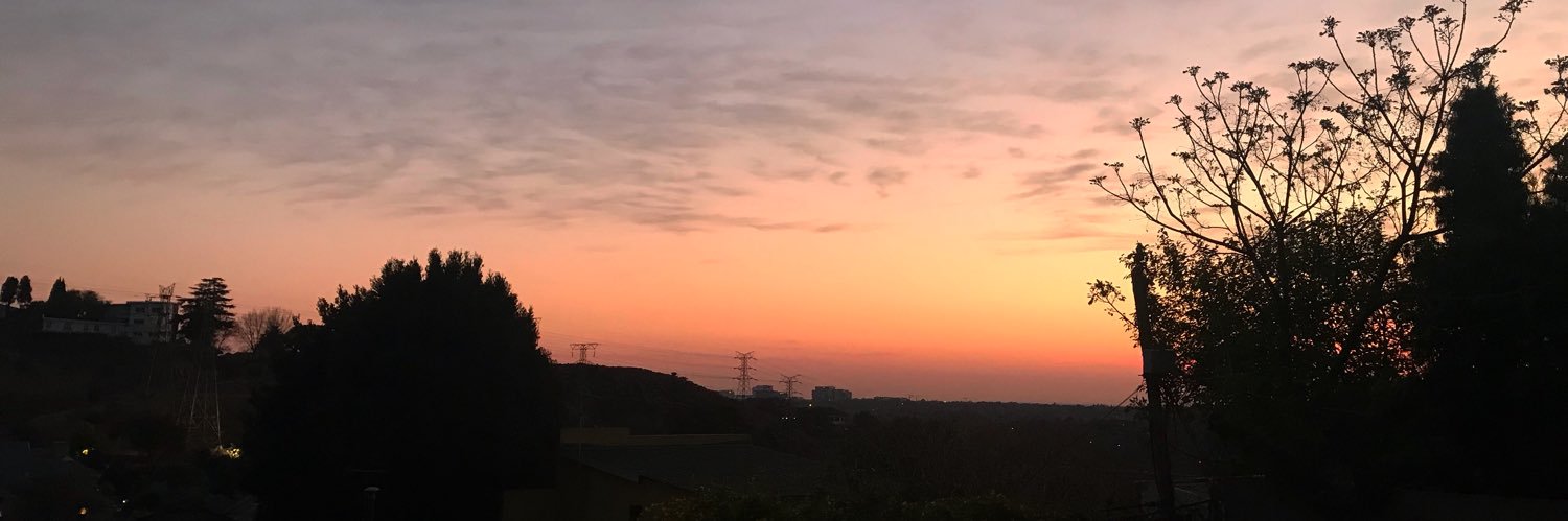 I L Y banner