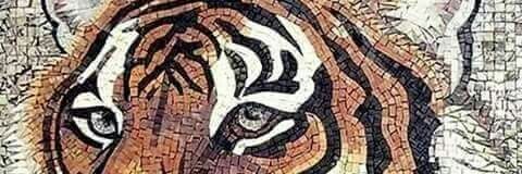 Marble Tiger Ksebi banner