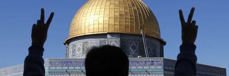 Mayssam Rizk's banner