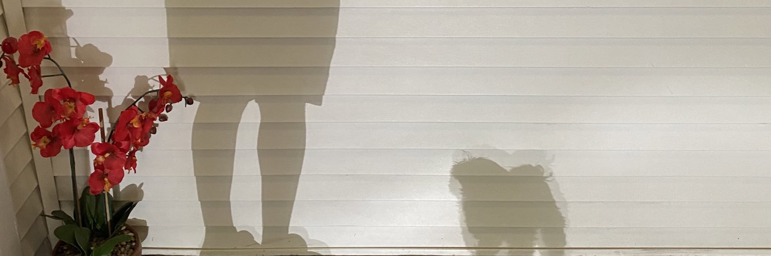 flourcs's profile banner image