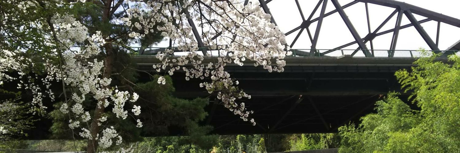 kiyo_pu's profile banner image