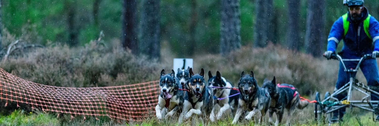 cameronpack's profile banner image