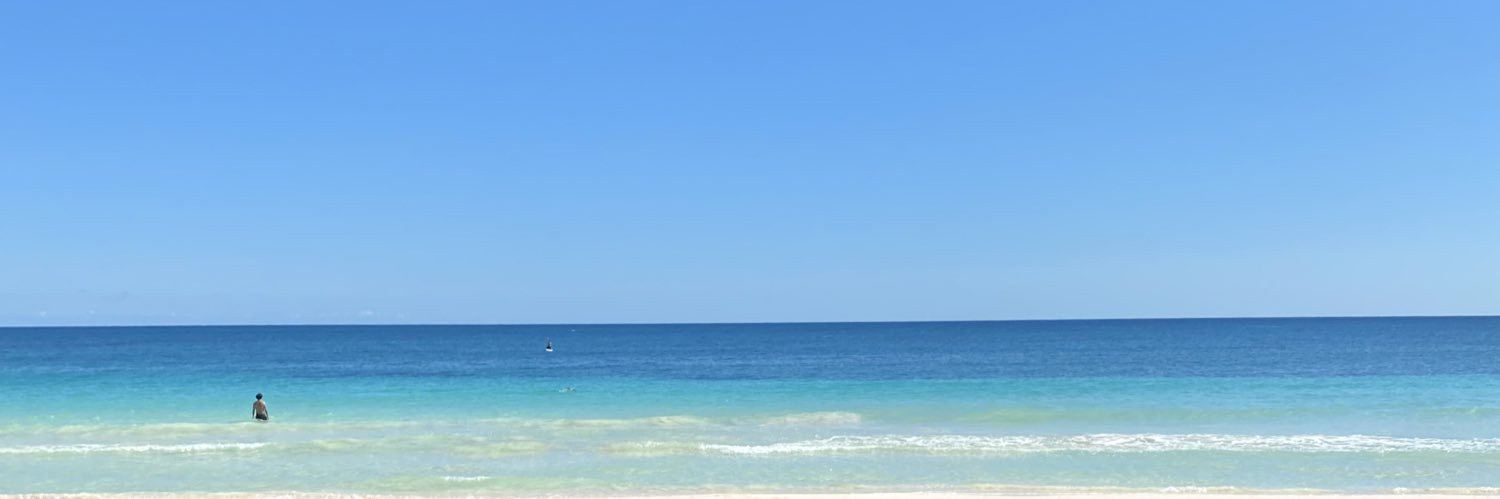 Leccia8's profile banner image